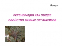РЕГЕНЕРАЦИЯ КАК ОБЩЕЕ СВОЙСТВО ЖИВЫХ ОРГАНИЗМОВ
Лекция