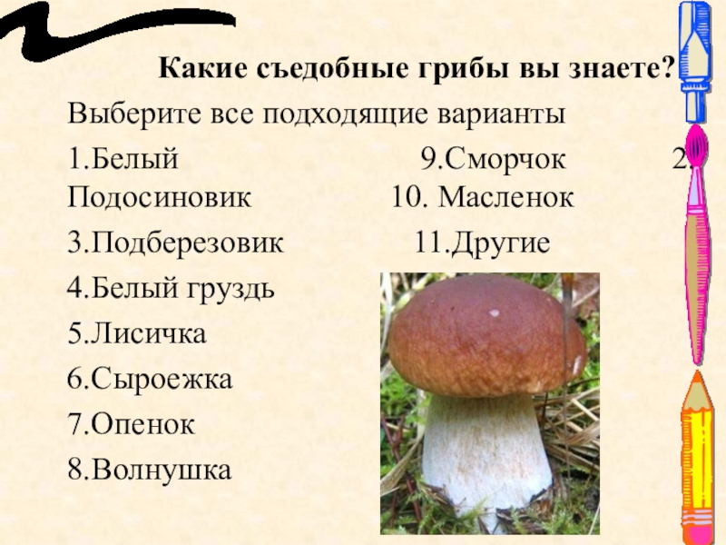 Грибы вы знаете какие съедобные. Какие грибы вы знаете. Какие съедобные грибы вы знаете. Какие съедобные и несъедобные грибы вы знаете. Какие съедобные грибы ты знаешь.