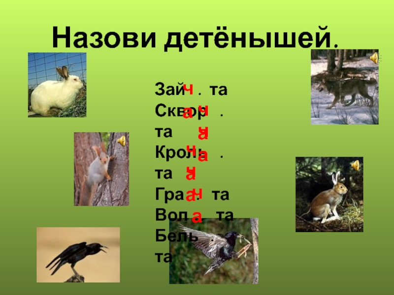 22 зовут. Называют детёныша дневной и ночной. Сочетание букв когда зовут животных. На какую детеныша на букву а зовут.