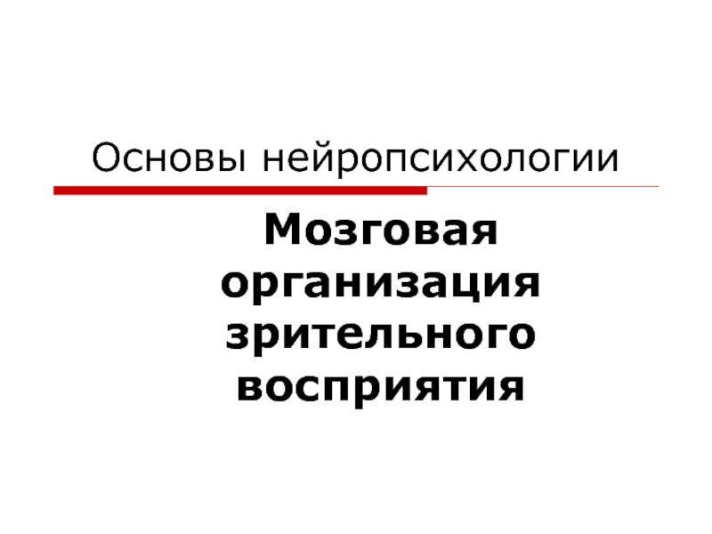 Презентация Основы нейропсихологии