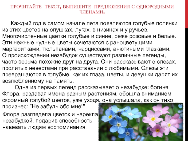 Прочитайте текст выпишите предложения с однородными. Описание растения Феалки трёх цветная. Фиалка трёхцветная описание растения.