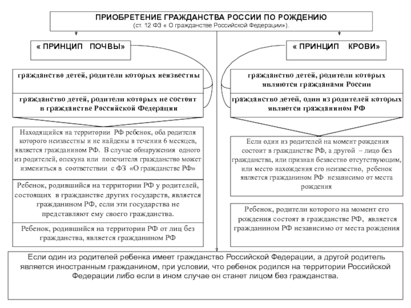 План гражданство российской федерации егэ