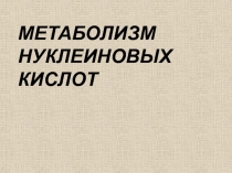 МЕТАБОЛИЗМ НУКЛЕИНОВЫХ КИСЛОТ