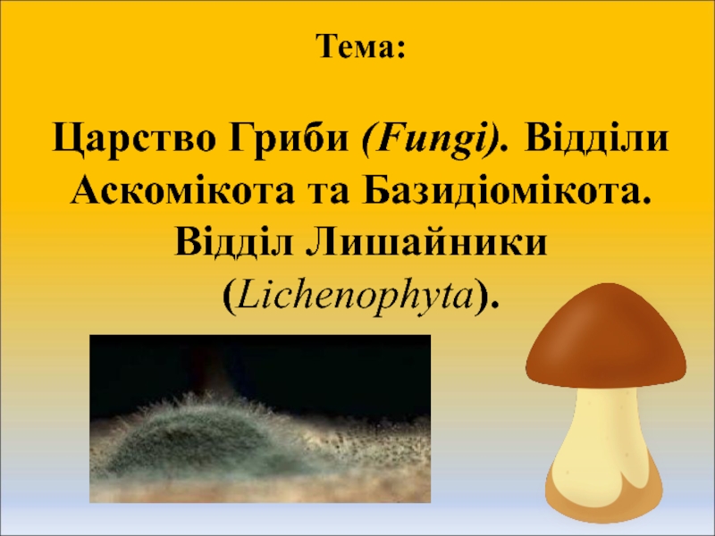 Презентация Тема: Царство Гриби ( Fungi ). Відділи Аскомікота та Базидіомікота. Відділ