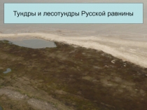 Тундры и лесотундры Русской равнины