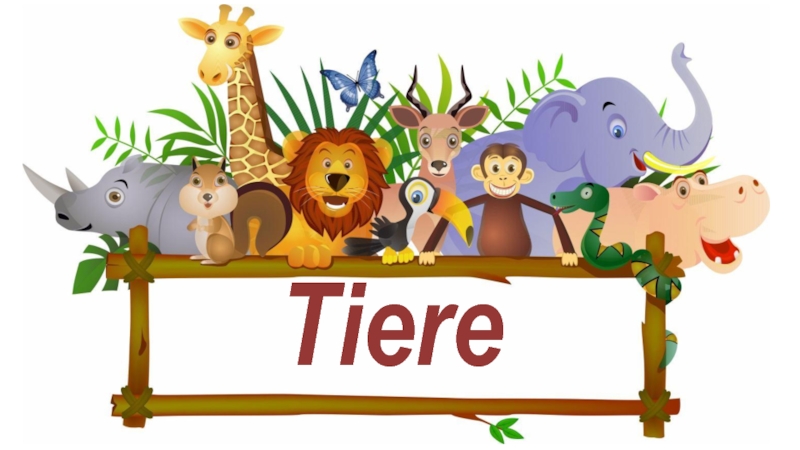 Tiere