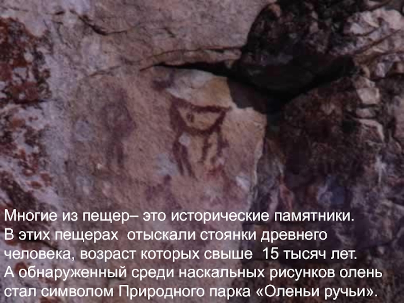 Многие из пещер– это исторические памятники. В этих пещерах отыскали стоянки древнего человека, возраст которых свыше 15