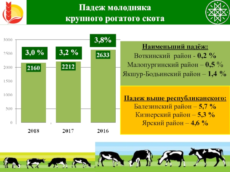 Животноводство в удмуртии презентация