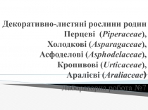 Декоративно-листяні рослини родин Перцеві ( Piperaceae ), Холодкові (