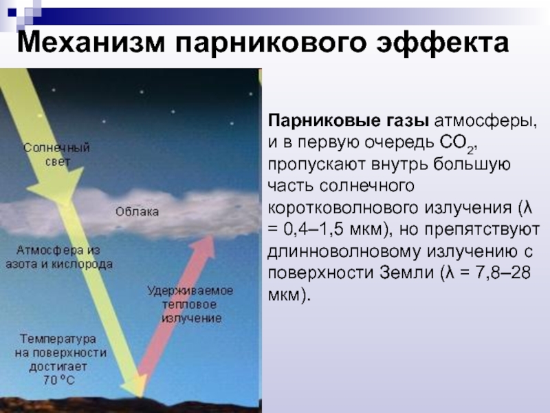 Роль газов атмосферы