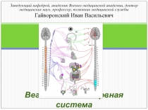 Морфология вегетативной нервной системы 