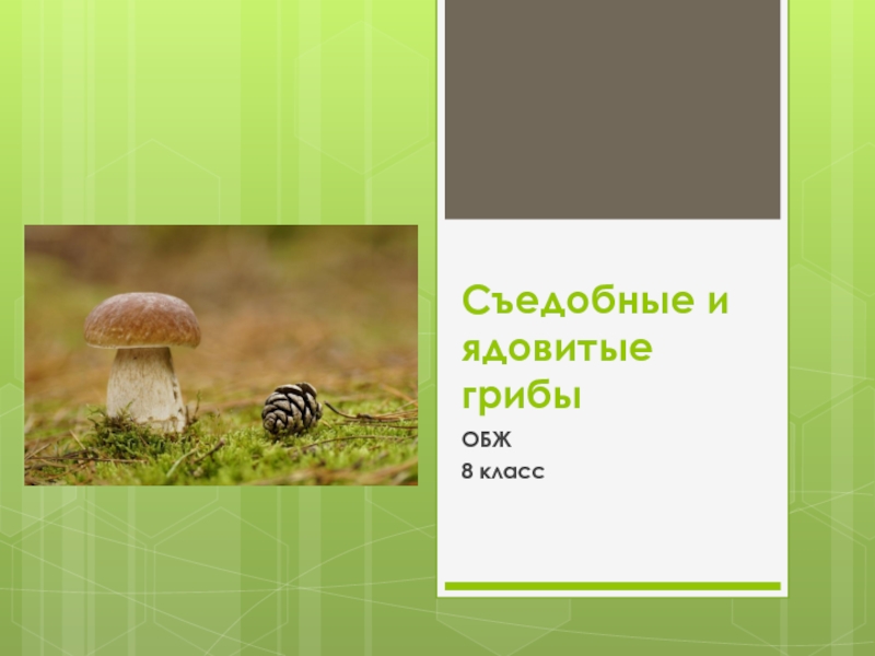 Съедобные и ядовитые грибы 8 класс