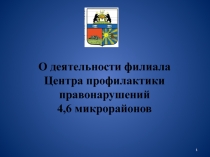 О деятельности филиала
Центра профилактики правонарушений
4,6 микрорайонов
1