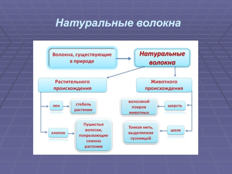 Презентация волокна растительного происхождения 5 класс презентация