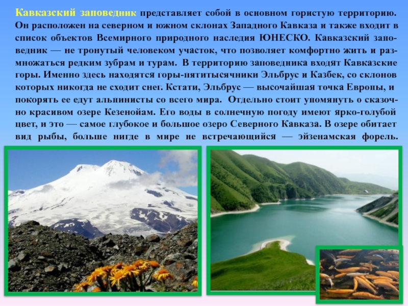 Кавказский заповедник представляет собой в основном гористую территорию. Он расположен на северном и южном склонах Западного Кавказа