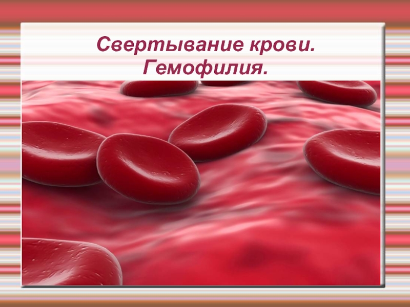 Презентация Свертывание крови. Гемофилия