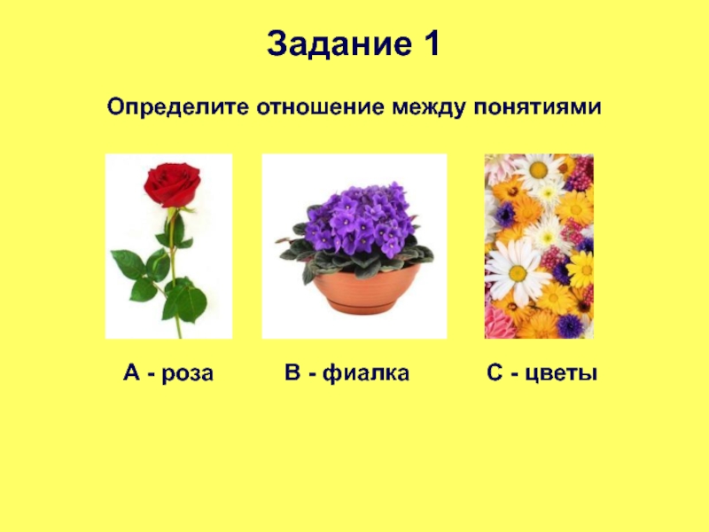 Определение понятию цветок. Определить цветок. Цветы и их понятия. Узнать про цветы.