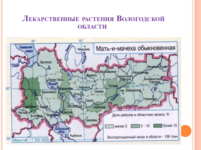 Растения вологодской области презентация