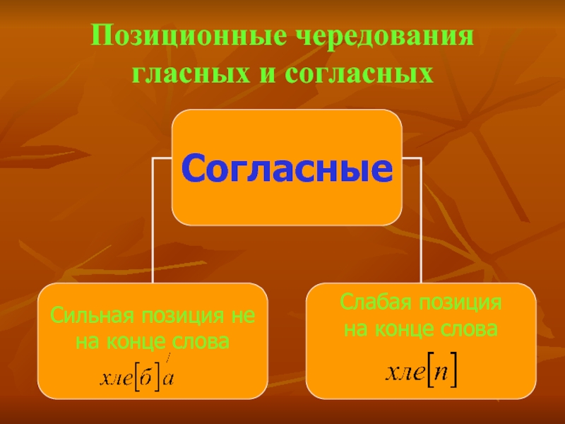 Согласна согласна 5. Позиционные чередования гласных и согласных звуков. Позиционное чередование гласных и согласных. Согласные в сильной позиции. Позиционное чередование звуков.