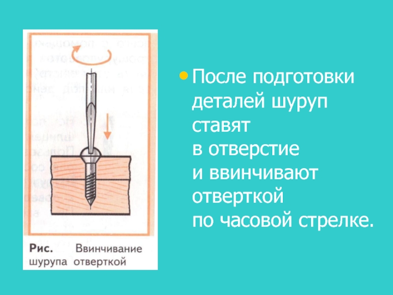 Подготовка деталей. Отличие соединения гвоздем и шурупом. Сообщение о гвоздях и шурупах 5 класс. Закручивать шурупы по часовой стрелке. Выкрутите шурупы против часовой стрелки.