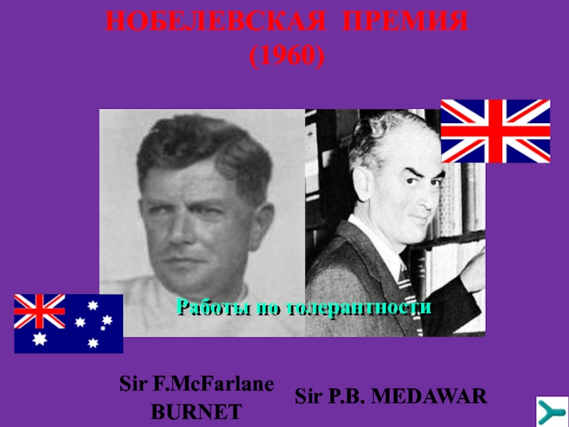 НОБЕЛЕВСКАЯ ПРЕМИЯ (1960)Sir F.McFarlane  BURNETSir P.B. MEDAWARРаботы по толерантности