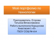Портфолио по технологии 5 класс