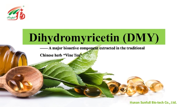 Презентация D ihydromyricetin ( DMY)