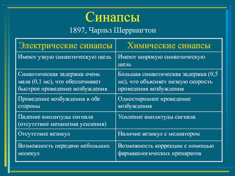 Отличия синапсов. Сравнительная характеристика электрического и химического синапса. Химический и электрический синапс сравнение. Отличие химического синапса от электрического. Электрический и химический синапс отличия.