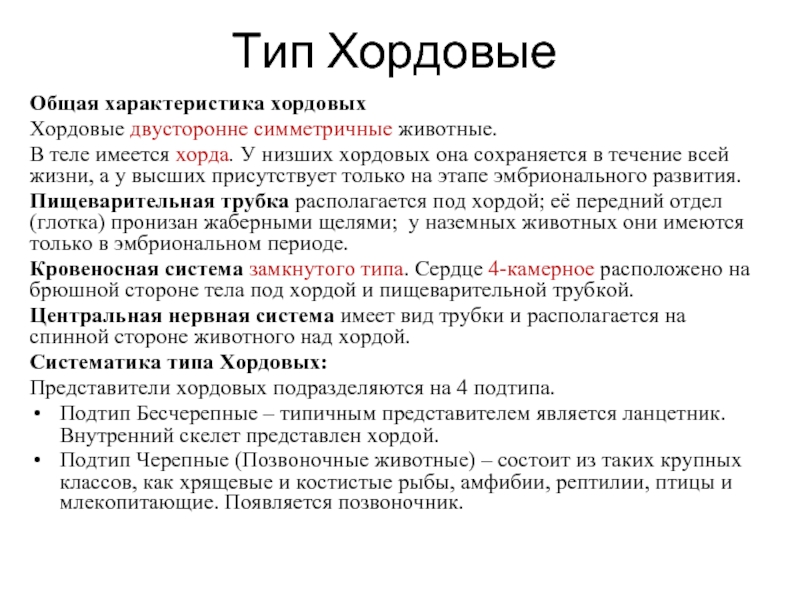 Представитель типа б