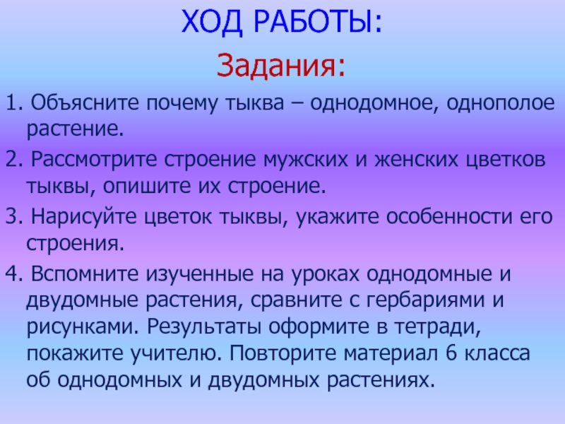 Ход культур. Семейство тыквенные вывод. Объясните строение растений семейства тыквенных. Тыквенные особенности строения. Опиши строение цветка.