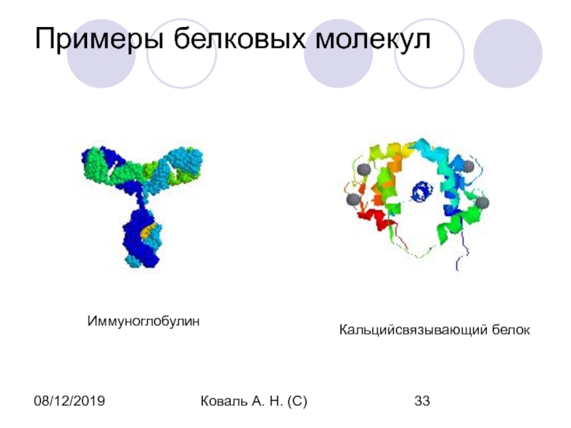 Примеры белков