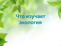 Что изучает экология