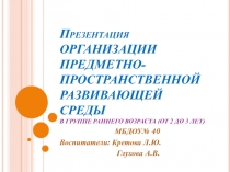 Презентация  Организации предметно-пространственной развивающей среды  в группе раннего возраста