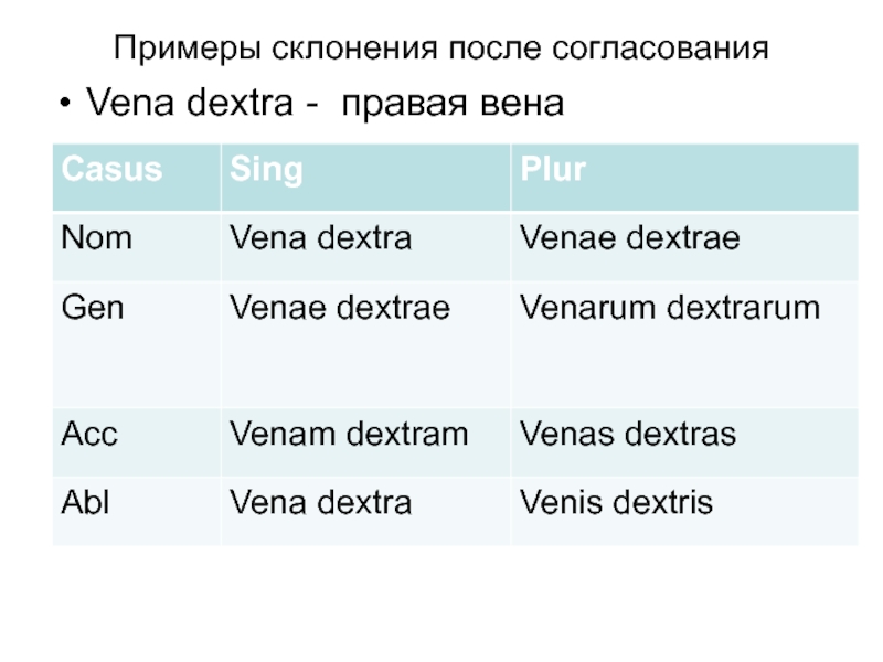 Примеры склонения после согласованияVena dextra - правая вена