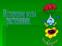 Испарение воды
растениями