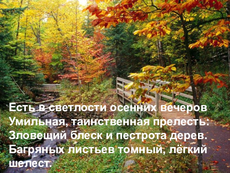 Сочинение на тему осень волшебница. Есть в светлости осенних вечеров умильная Таинственная. Багряных листьев томный легкий Шелест. Стих зловещий блеск и пестрота дерев. Багряные листья стихотворение.