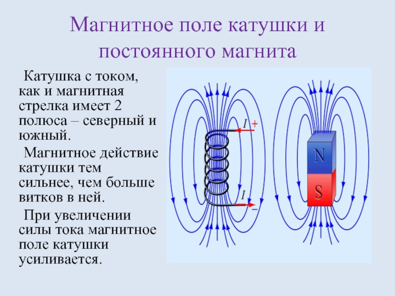 Магнитное поле катушки и постоянного магнита	Катушка с током, как и магнитная стрелка имеет 2 полюса – северный