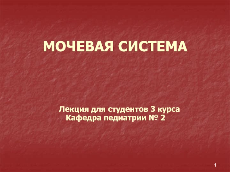 Презентация МОЧЕВАЯ СИСТЕМА