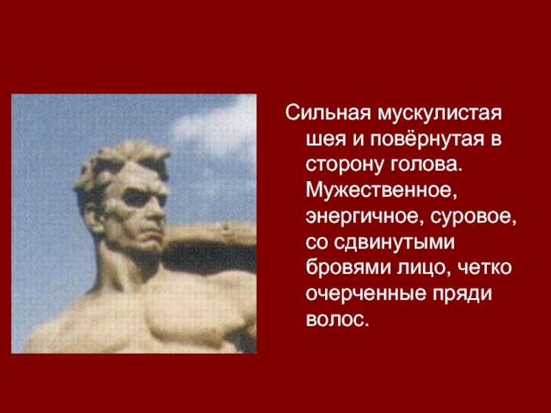 Сильная мускулистая шея и повёрнутая в сторону голова. Мужественное, энергичное, суровое, со сдвинутыми бровями лицо, четко очерченные