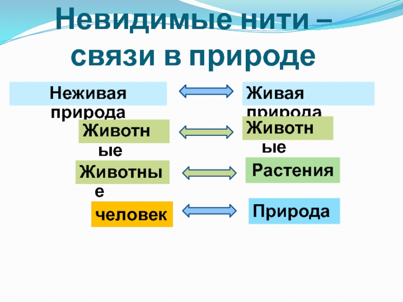 Окр мир 2 класс невидимые нити презентация