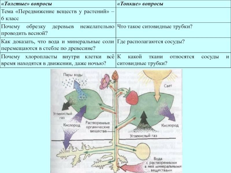 Презентация движение организмов 6 класс пасечник