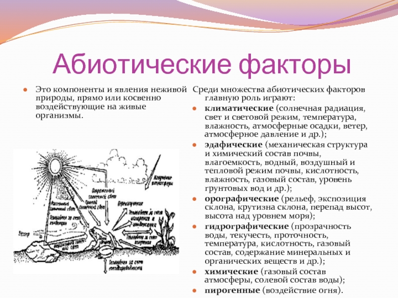 Абиотические факторы биология 9 класс презентация