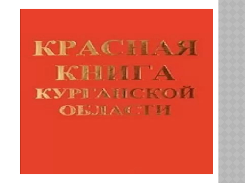 Красная книга Курганской области