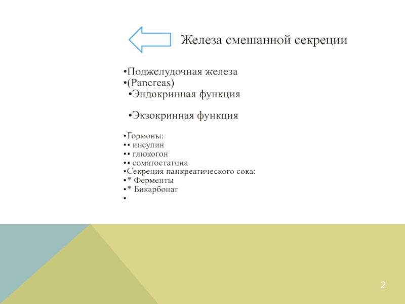 Экзокринная недостаточность поджелудочной железы