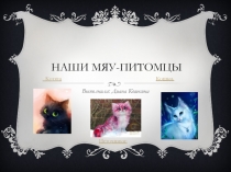 Наши Мяу-питомцы