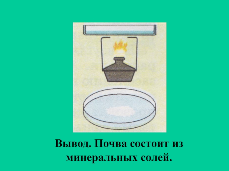 Образование минеральных солей в почве расставь стрелки. Опыт обнаружение в почве Минеральных солей. Опыт в почве есть Минеральные соли. Опыт соль в почве. Минеральные соли в почве образуются из.