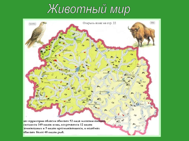 В каких районах обитаешь. Карта растительности Орловской области. Места обитания животных. Животный мир Орловской области. Растительный и животный мир Орловской области.