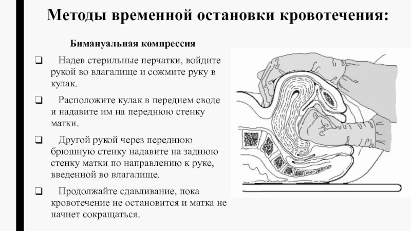 Поиск видео по запросу: видео кулак в пизду