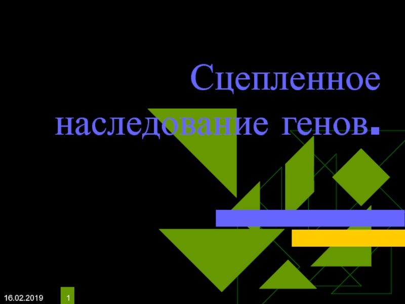 Презентация Сцепленное наследование генов