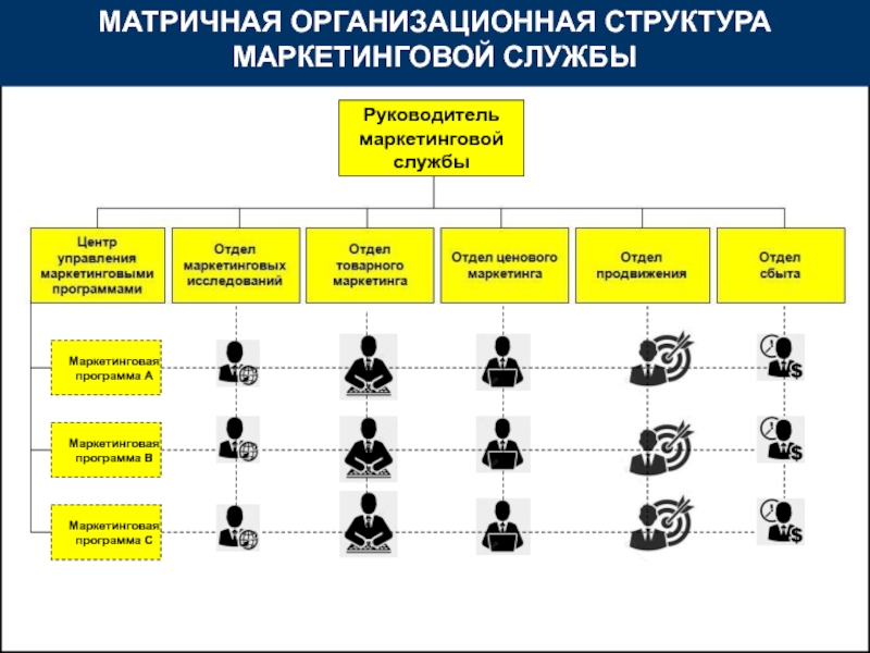 Руководитель маркетинговых проектов